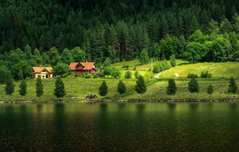 Фахверк Швейцария горы озеро лес лето