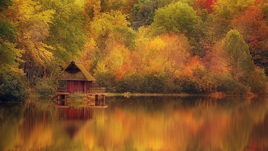 Домик у озера осень