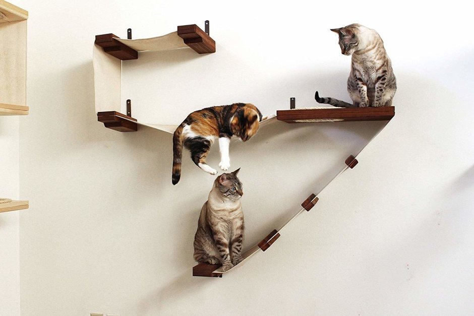 Полки для кошек в квартире