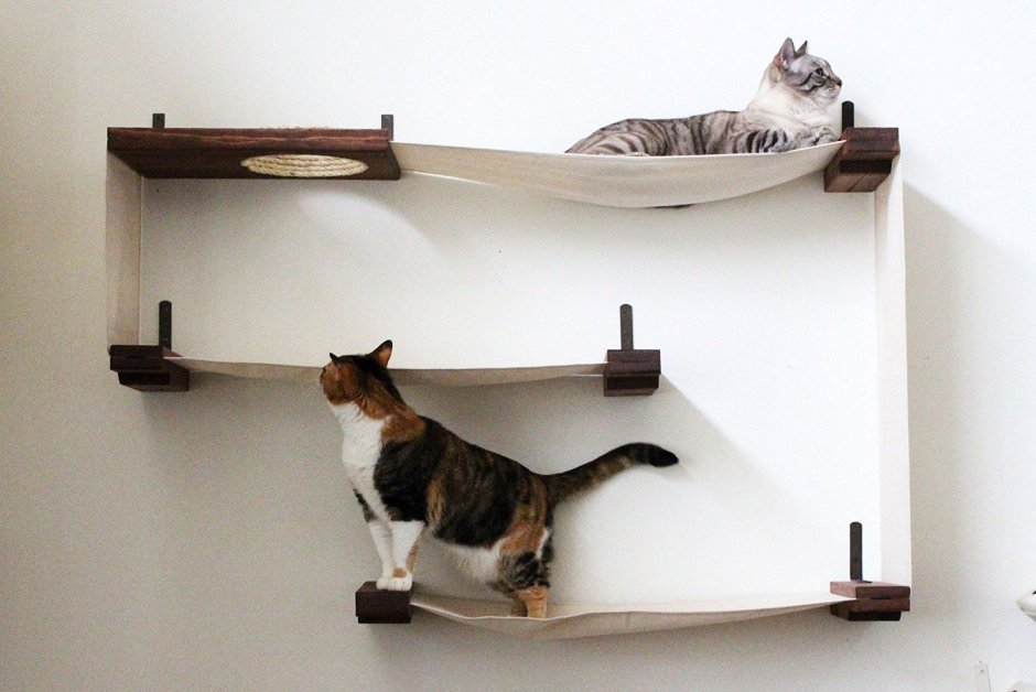 Полка для кошки на балконе
