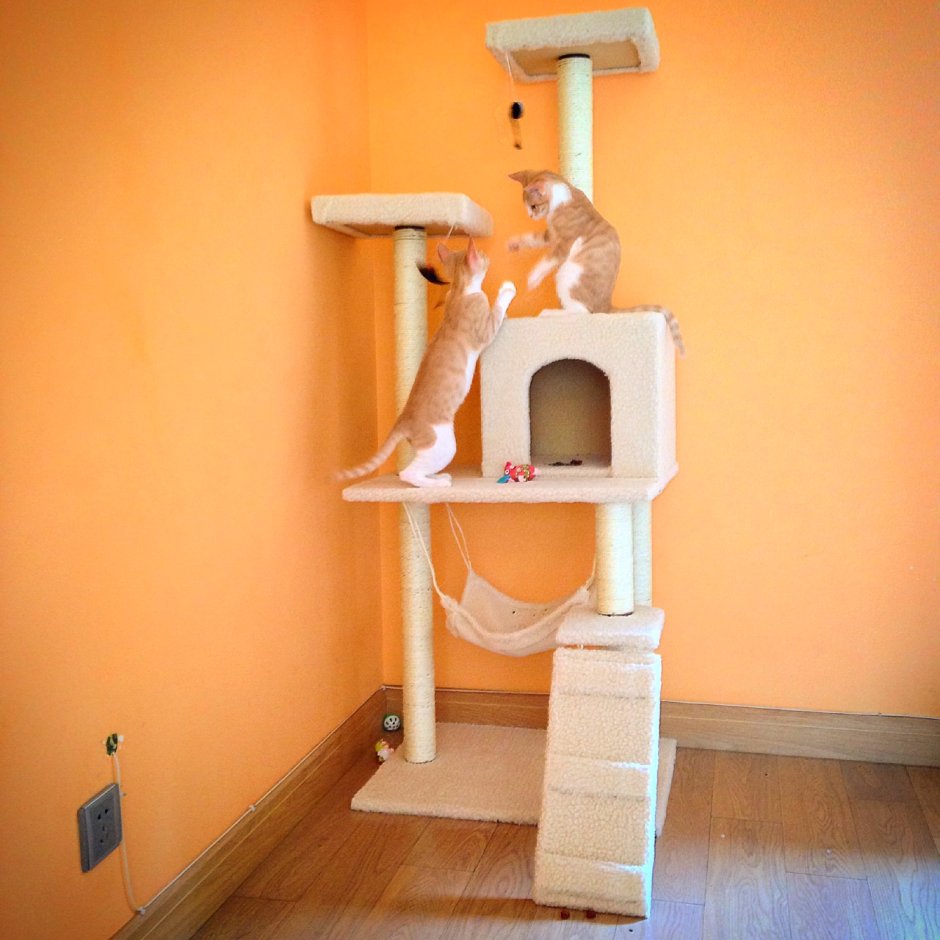 Многоэтажный дом для кошек
