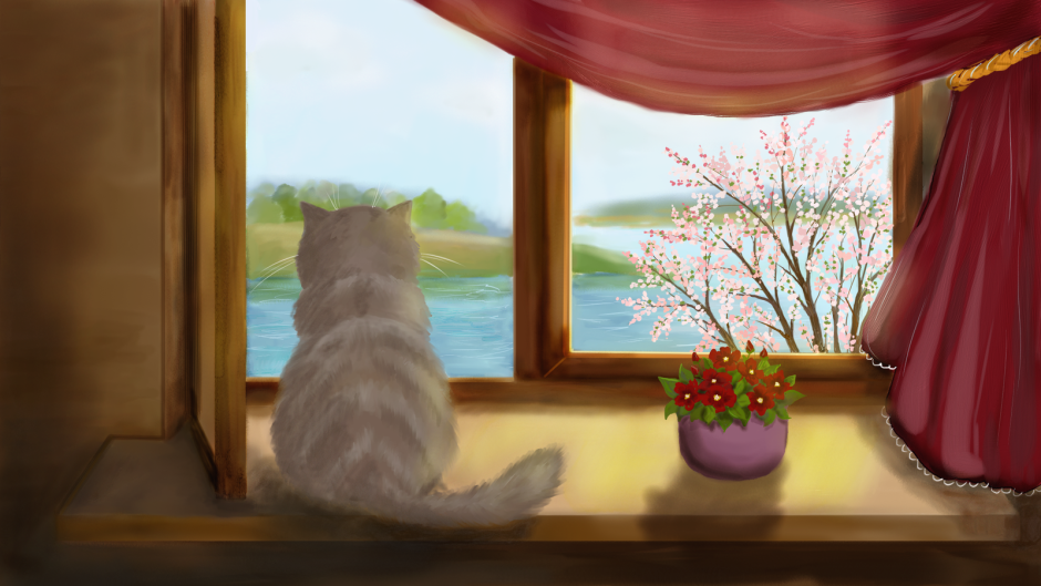 Кошка на фоне окна