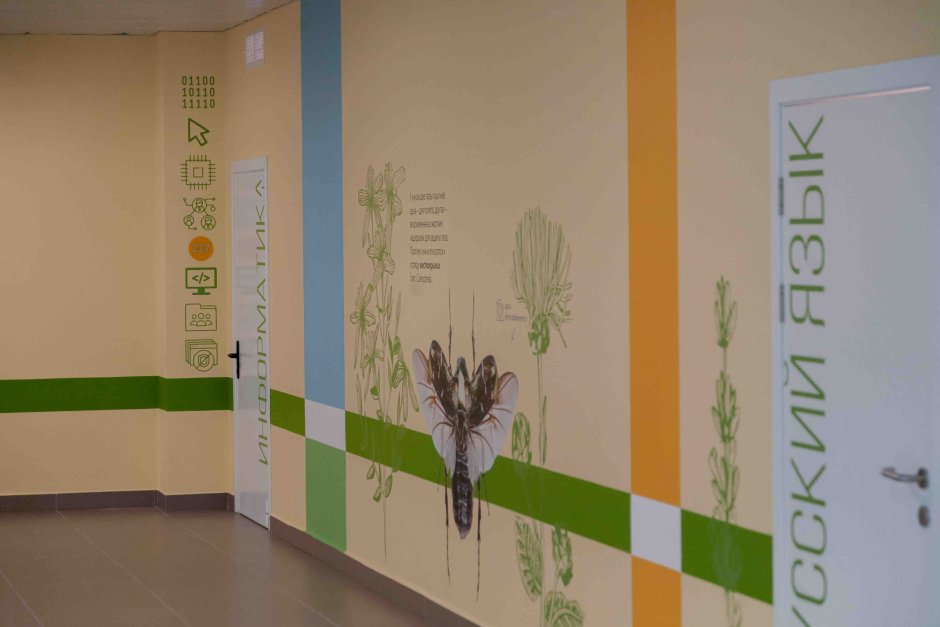 Красивые дизайнерские полоски на стенах в школьном коридоре