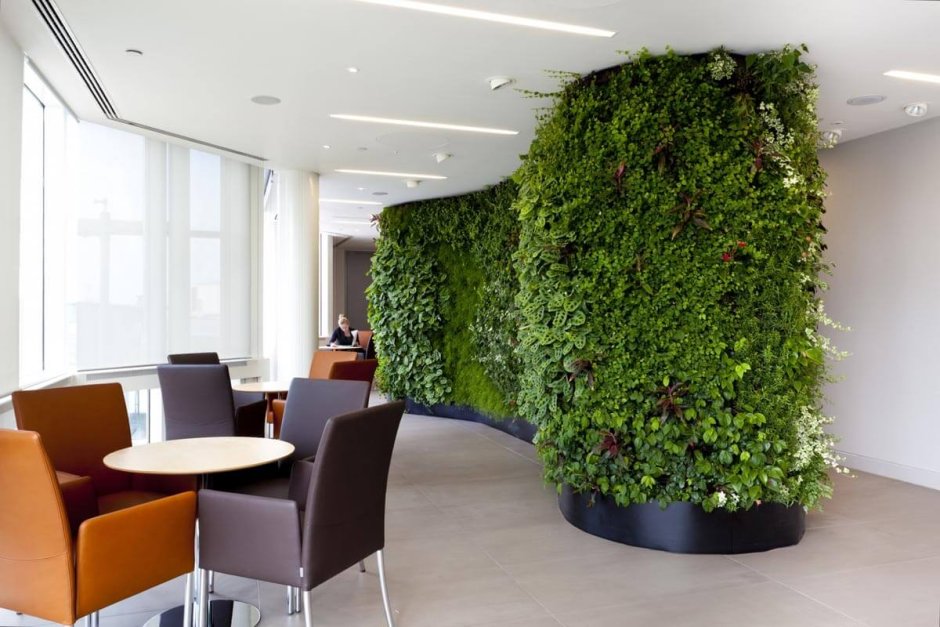 Design for Office Workspace with Plants