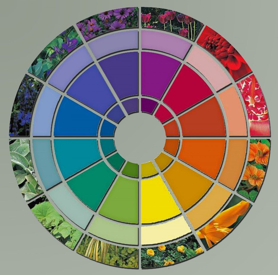 Цветовой круг Иттена сочетания схемы
