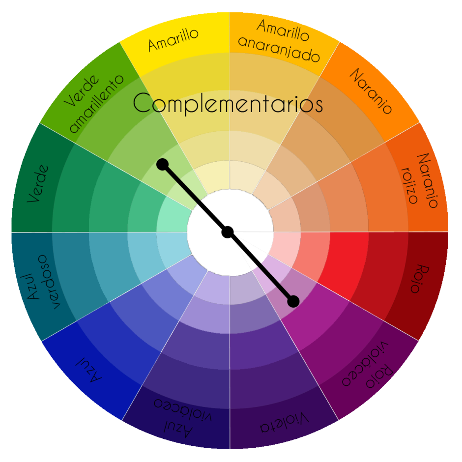 Цветовой круг 12 секторов сочетаемость цветов
