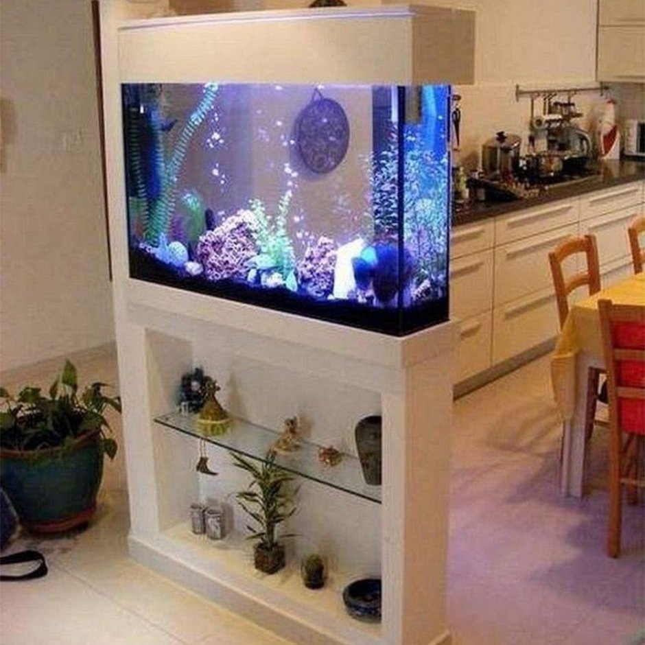 Зонирование аквариумом кухни гостиной
