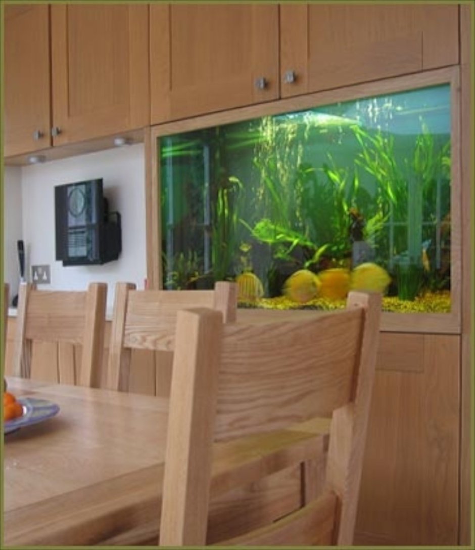 Кухня гостиная с аквариумом