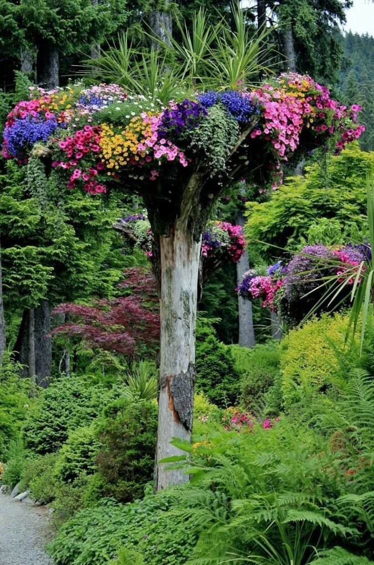 Дикий сад с цветами