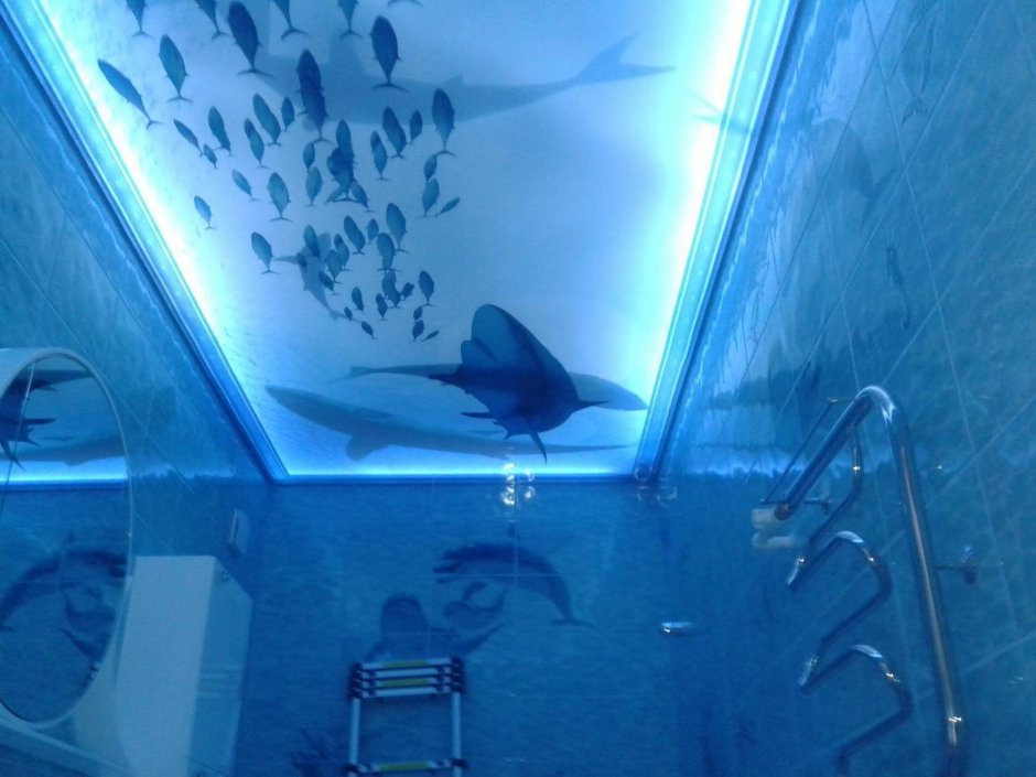 Натяжной потолок в ванную комнату с рыбками