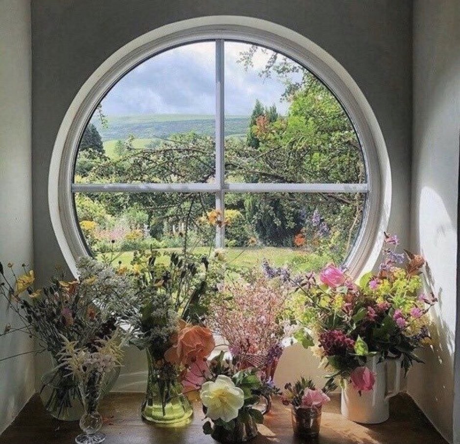Красивый вид из окна на сад