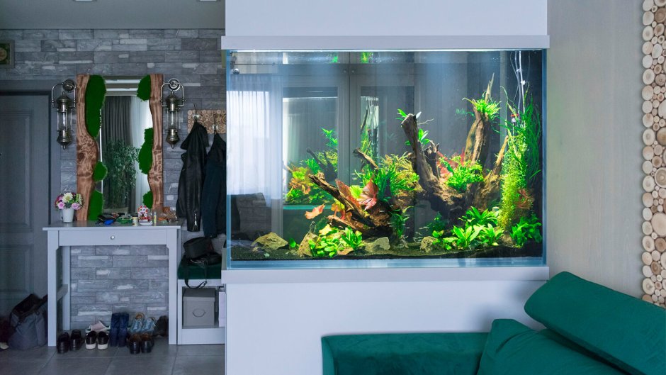 Встроенные аквариумы в интерьере