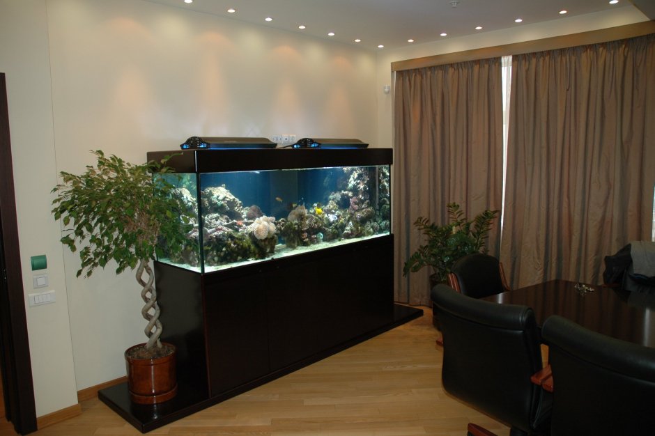 Панорамный аквариум в интерьере