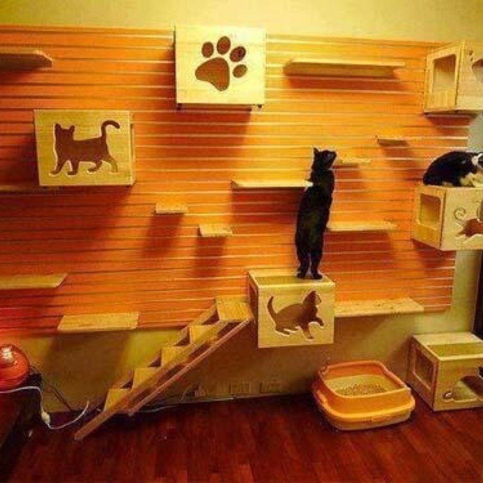 Комната для кошек