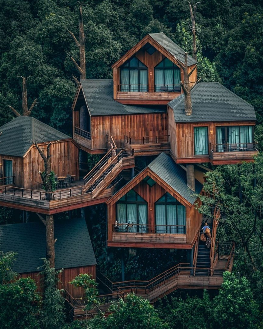 Дома на деревьях