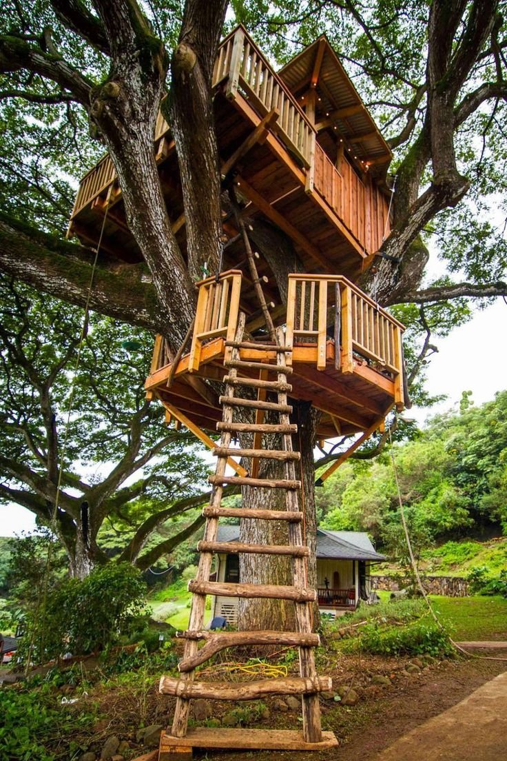 Treehouse домик на дереве