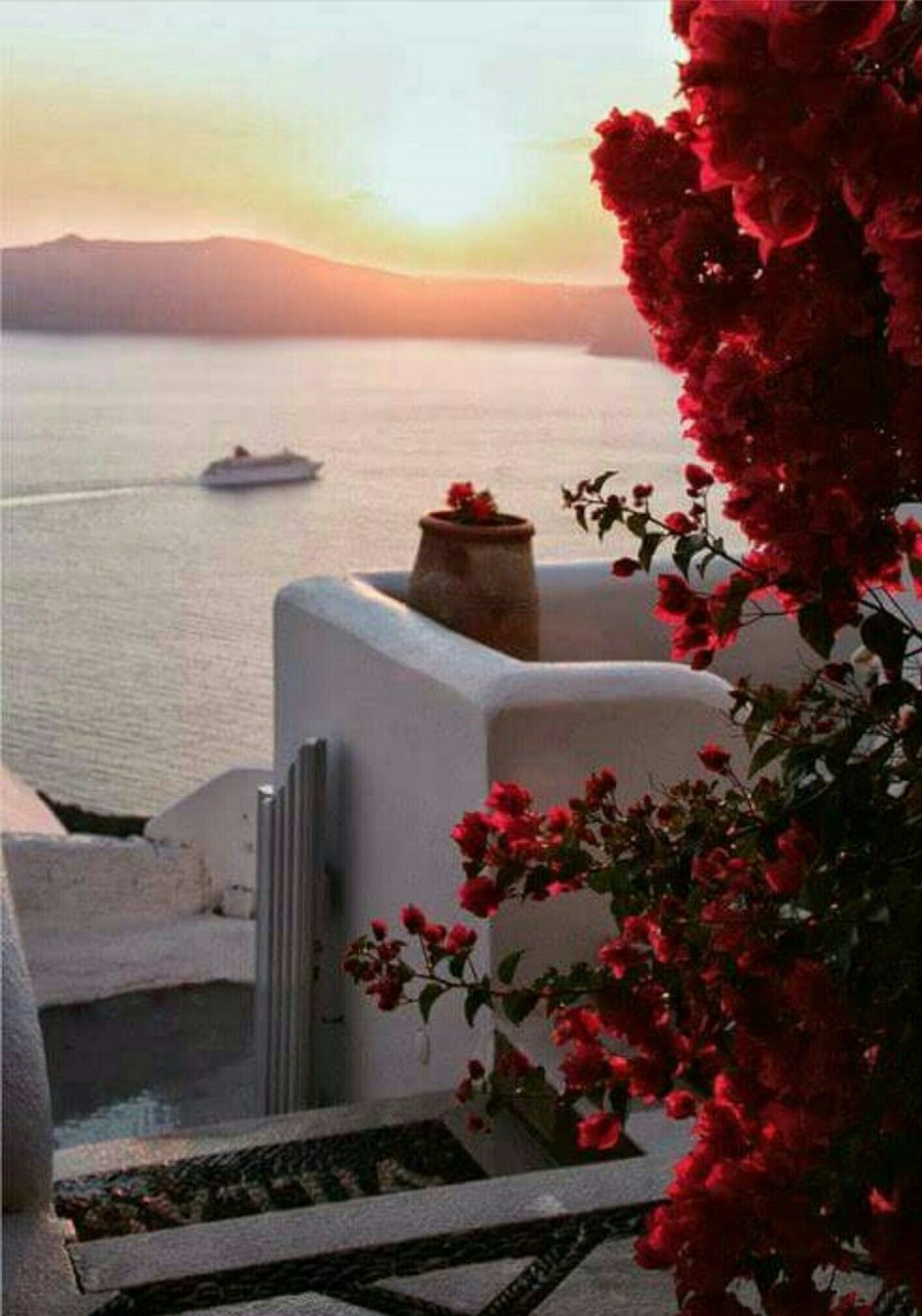 Греция цветы море Санторини