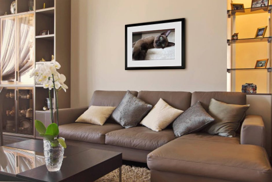 Картина в гостиную с коричневым диваном