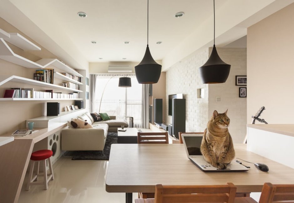 Коты в интерьере квартиры