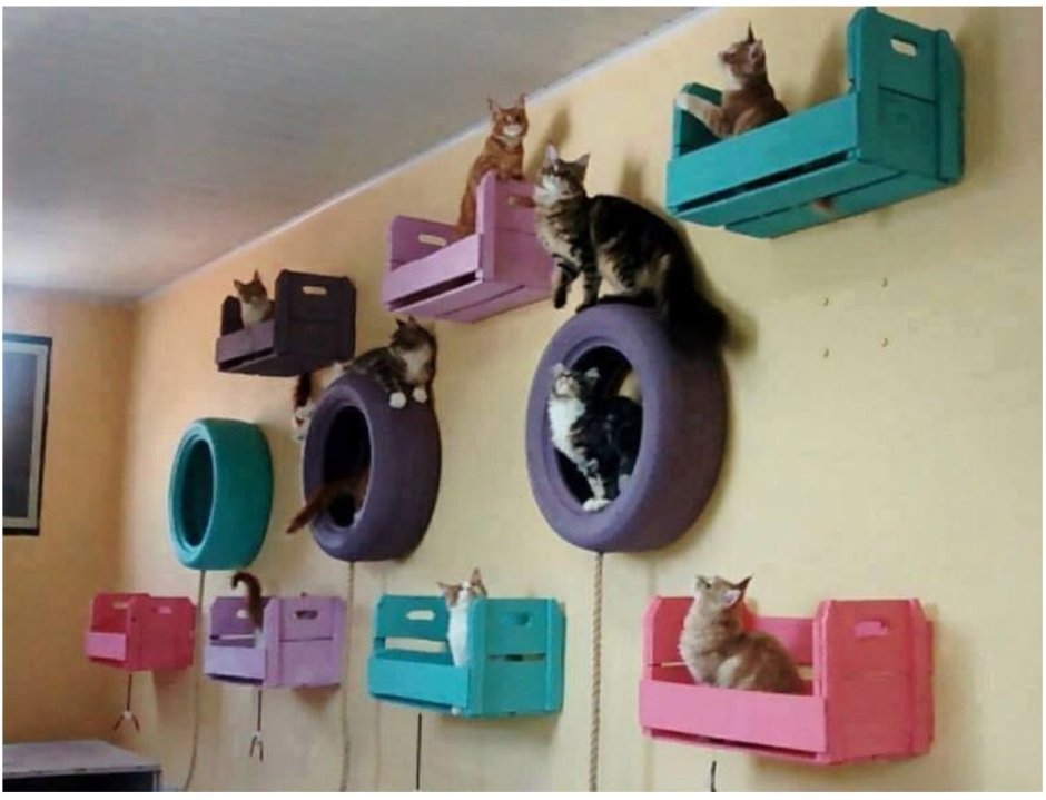 Полки домики для кошек на стене