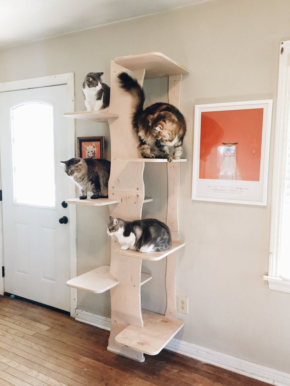 Отдельная комната для кошек