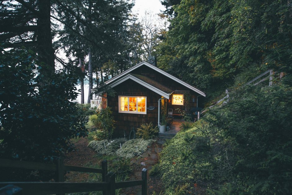 Уединенный дом в лесу