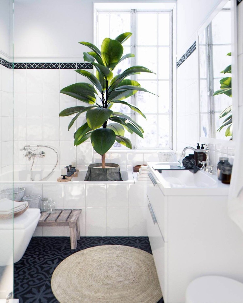 Белая ванная комната с растениями