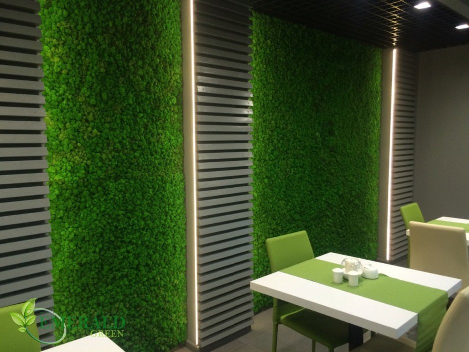 Искусственный газон на стене в кафе