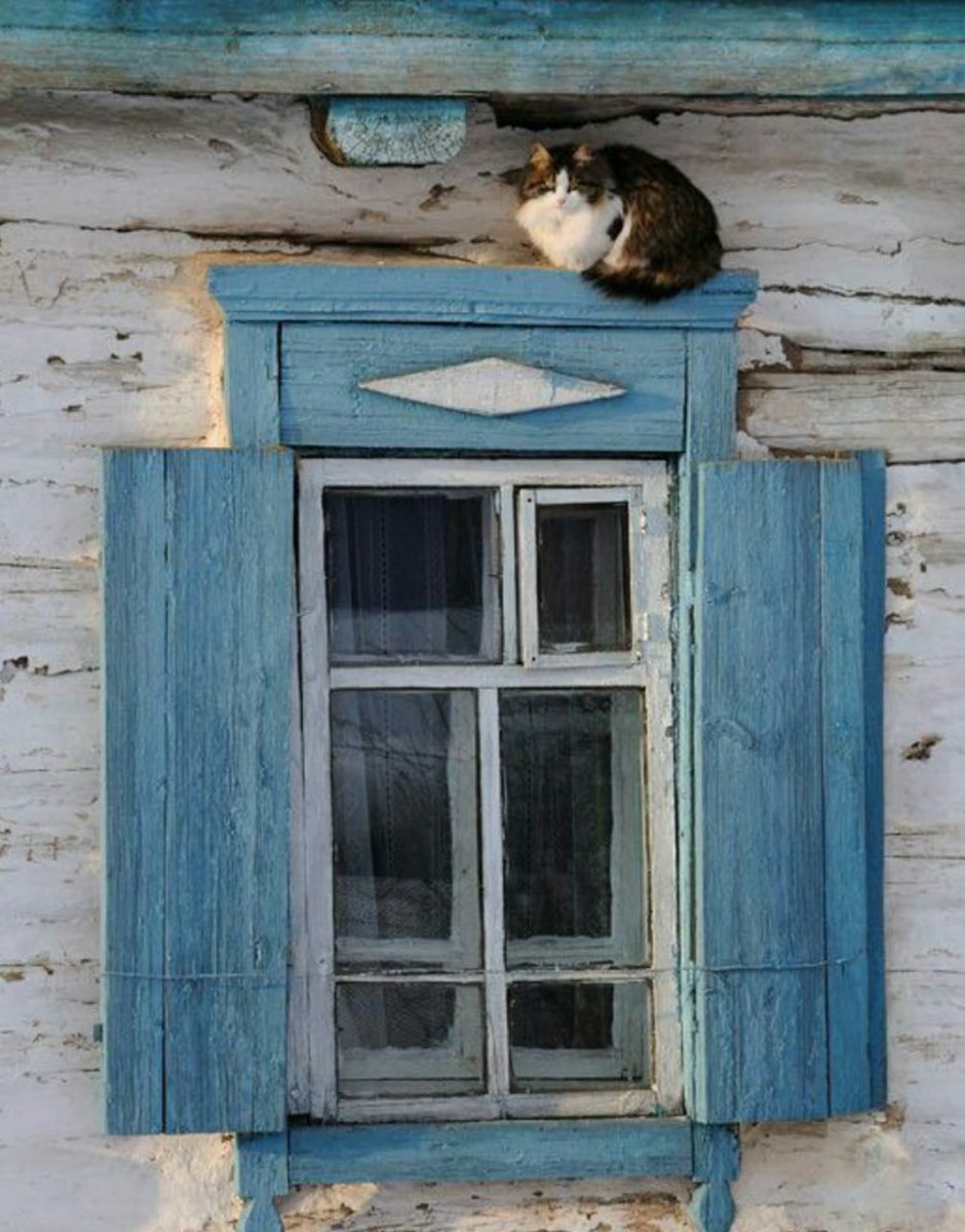 Деревенский дом с синими ставнями