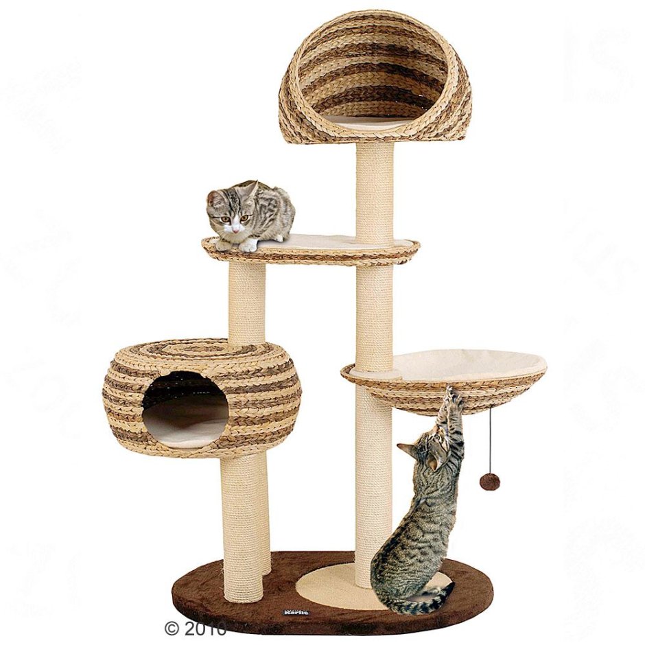 Игровой комплекс для кошек из дерева