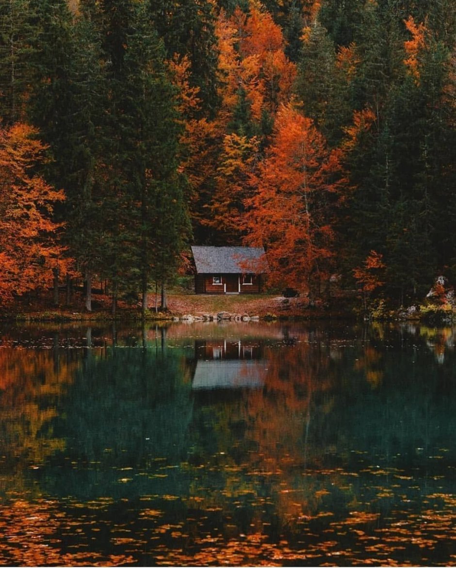 Дом у озера осенью