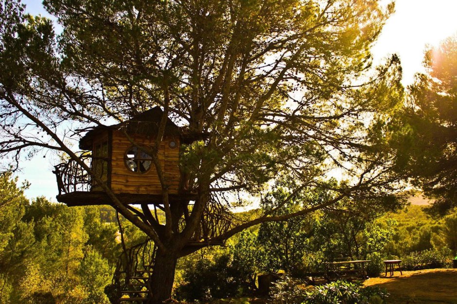 Необычный дом на дереве