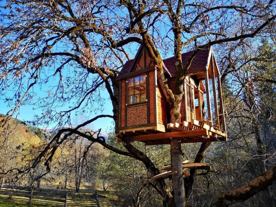 Ласточкино гнездо дом на дереве Веневский район