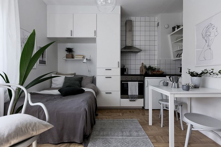 Кухня в однокомнатной квартире со спальным местом
