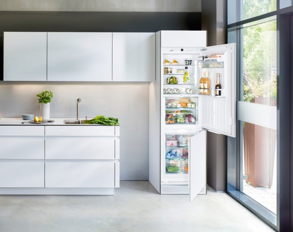 Встраиваемый холодильник Ascoli ADRF 229 bi