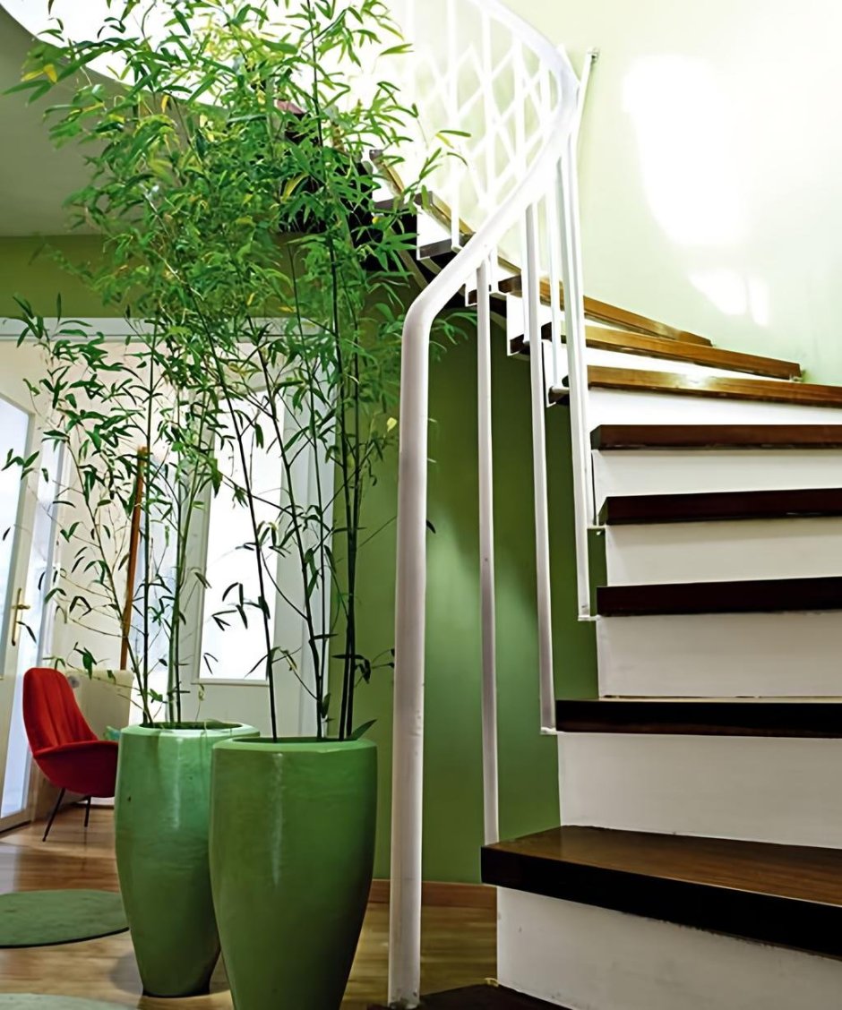Зелень в интерьере лестницы