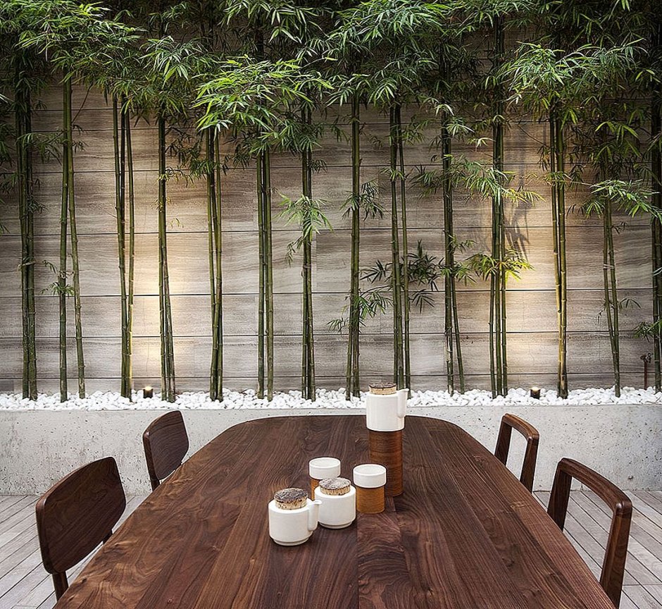 Бамбуковая стена в интерьере