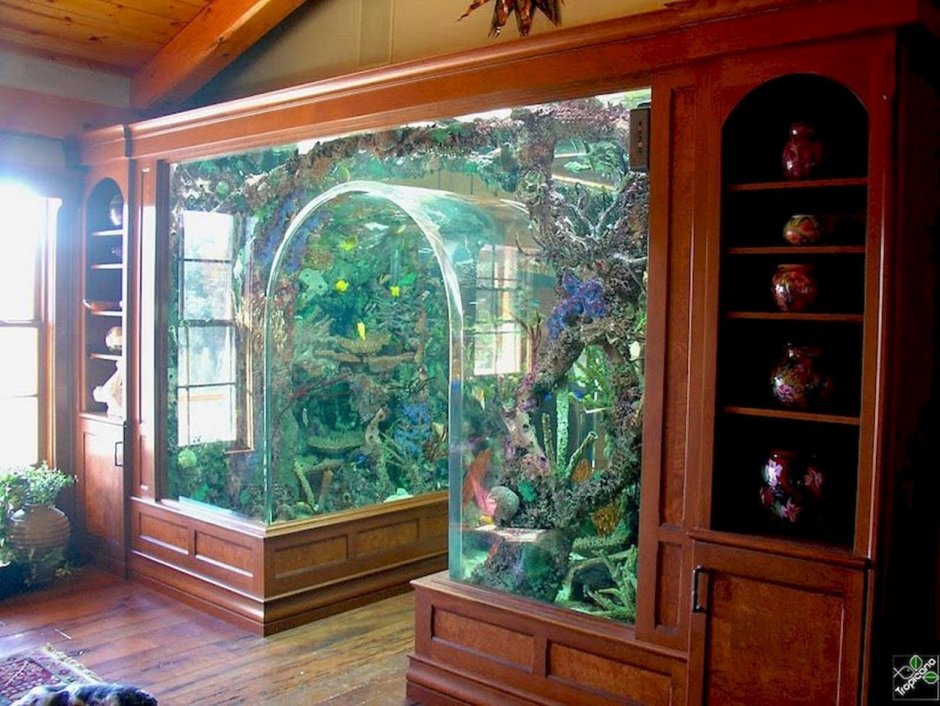 Встроенный аквариум в интерьере