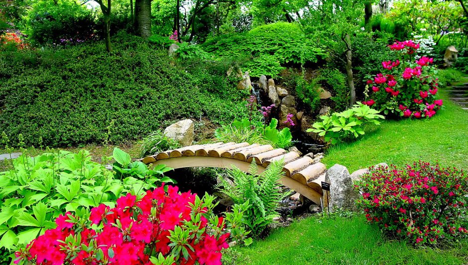 Ландшафтный дизайнер Анкин сад